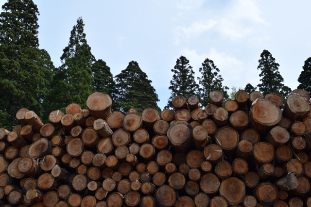 輸入木材の価格が高騰「ウッドショック」とは？