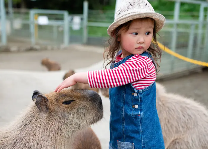 親にしてもらいたかったことアンケート 13位は「動物園や水族館などの生き物を観察できる施設に連れて行ってほしかった」