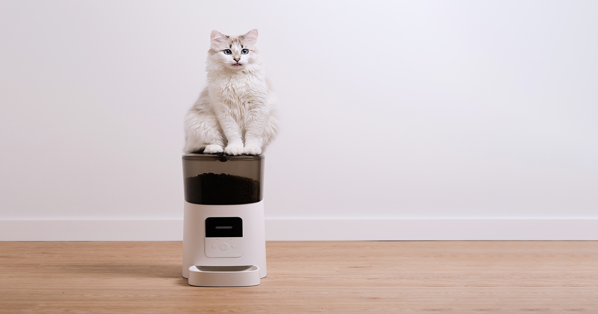 愛猫家の家電アドバイザーに聞く! 最新&定番の猫向けオススメペット