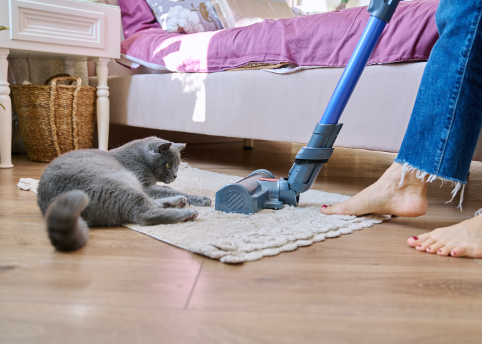掃除機でグルーミング⁉ 猫の抜け毛対策にオススメな最新コードレスクリーナー