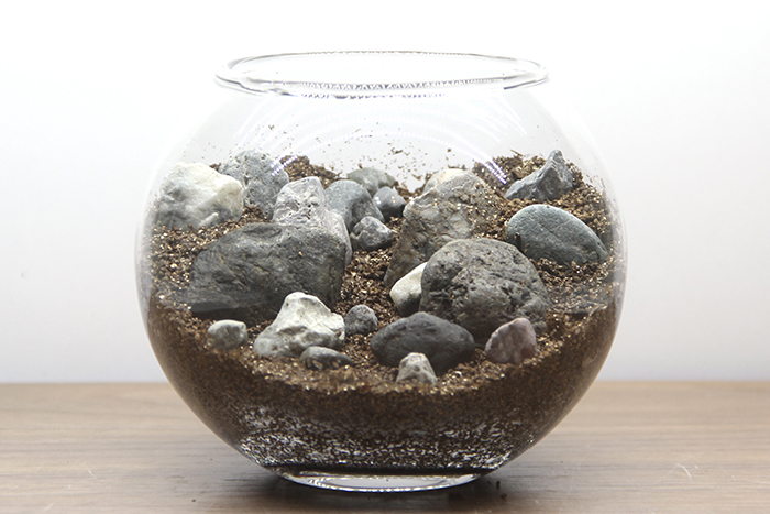 ジオラマテラリウムの作り方⑤土が固まったら、小さい石と中くらいの石を配置する