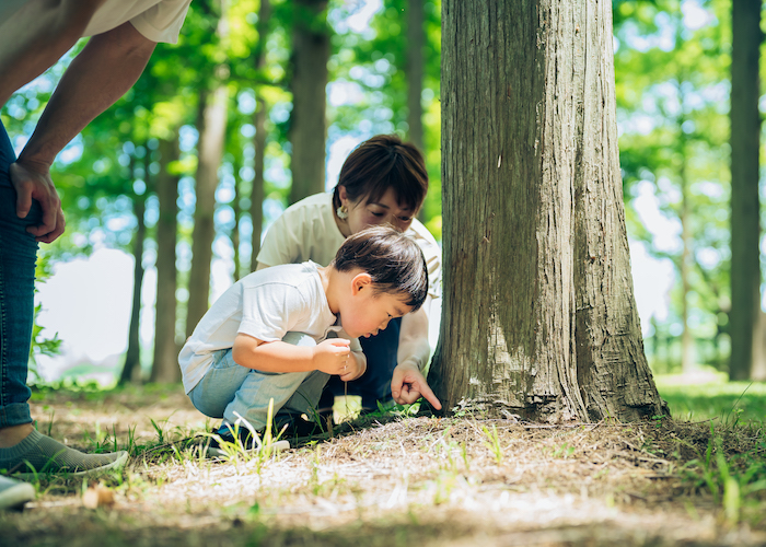 大人の自然との向き合い方 大切なのは子どもと一緒に学ぶこと