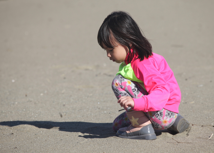 海の自然観察〜砂浜&磯遊びを親子で楽しむコツ