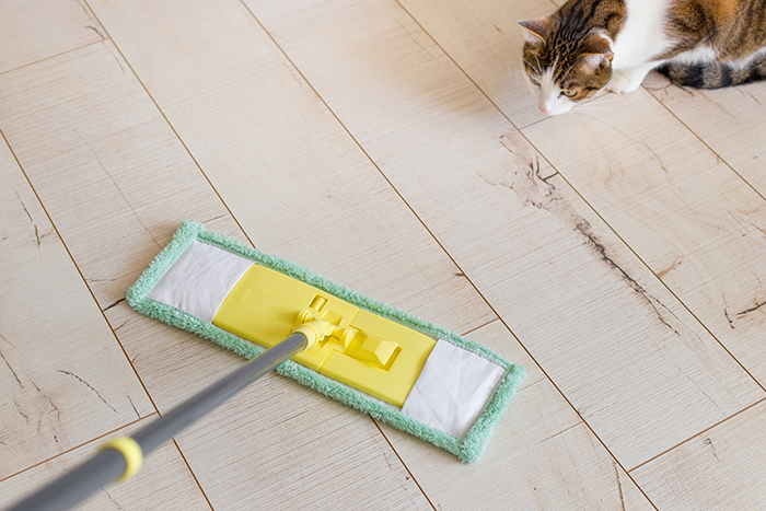 犬・猫と共に暮らすお家のポイント③掃除のしやすさ
