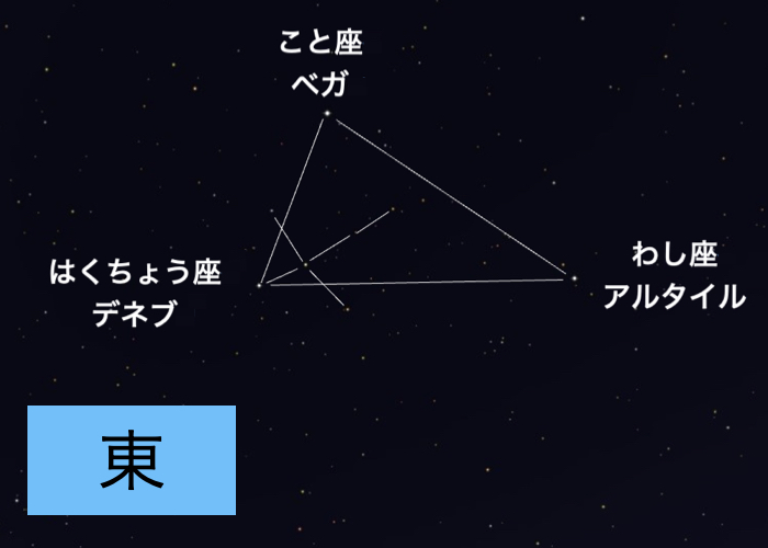 理科の自由研究テーマ例①星空観察　東の高い空には「夏の大三角」を見ることができる