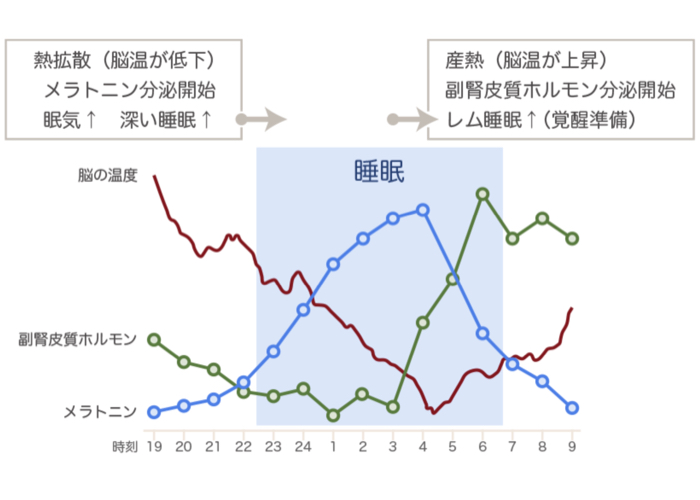 小林麻利子さんが教える睡眠のメカニズムと改善方法①体内時計を整える